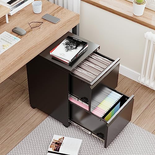 2 Drawer Vertical File Cabinet with Lock for Letter Size, Steel Office Storage Y50014