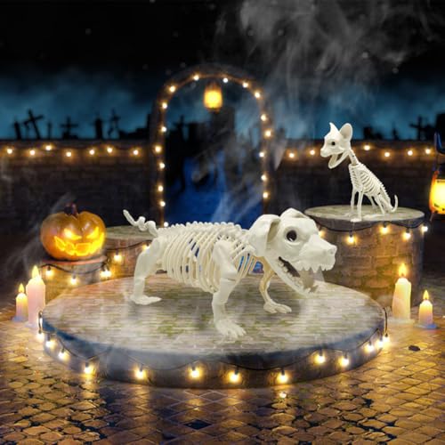 UMEELR 5.9FT Poseable Life Size Skeleton for Halloween Decoration B873000