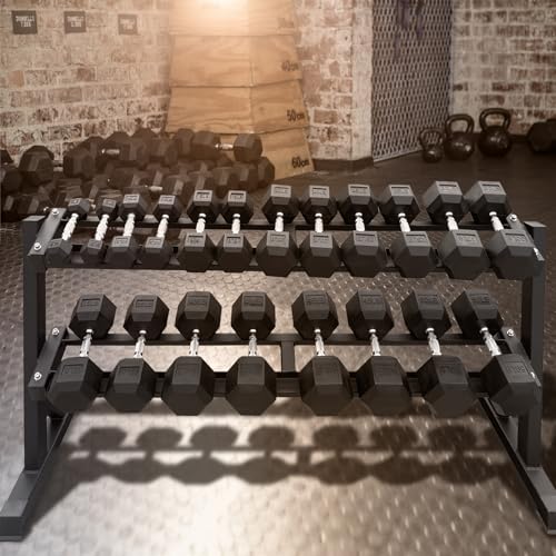 550 lbs Hex Dumbbell Weight Set for Home Gym Strength Training R4407