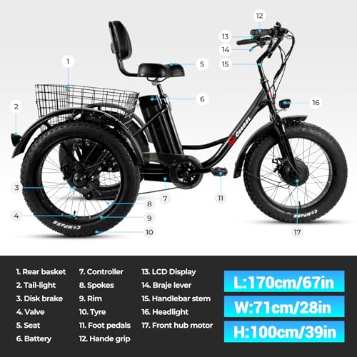 Geemax Electric Tricycle for Adults, 20" x 4.0 Fat Tire, 36V 350W, UL Certified G6829