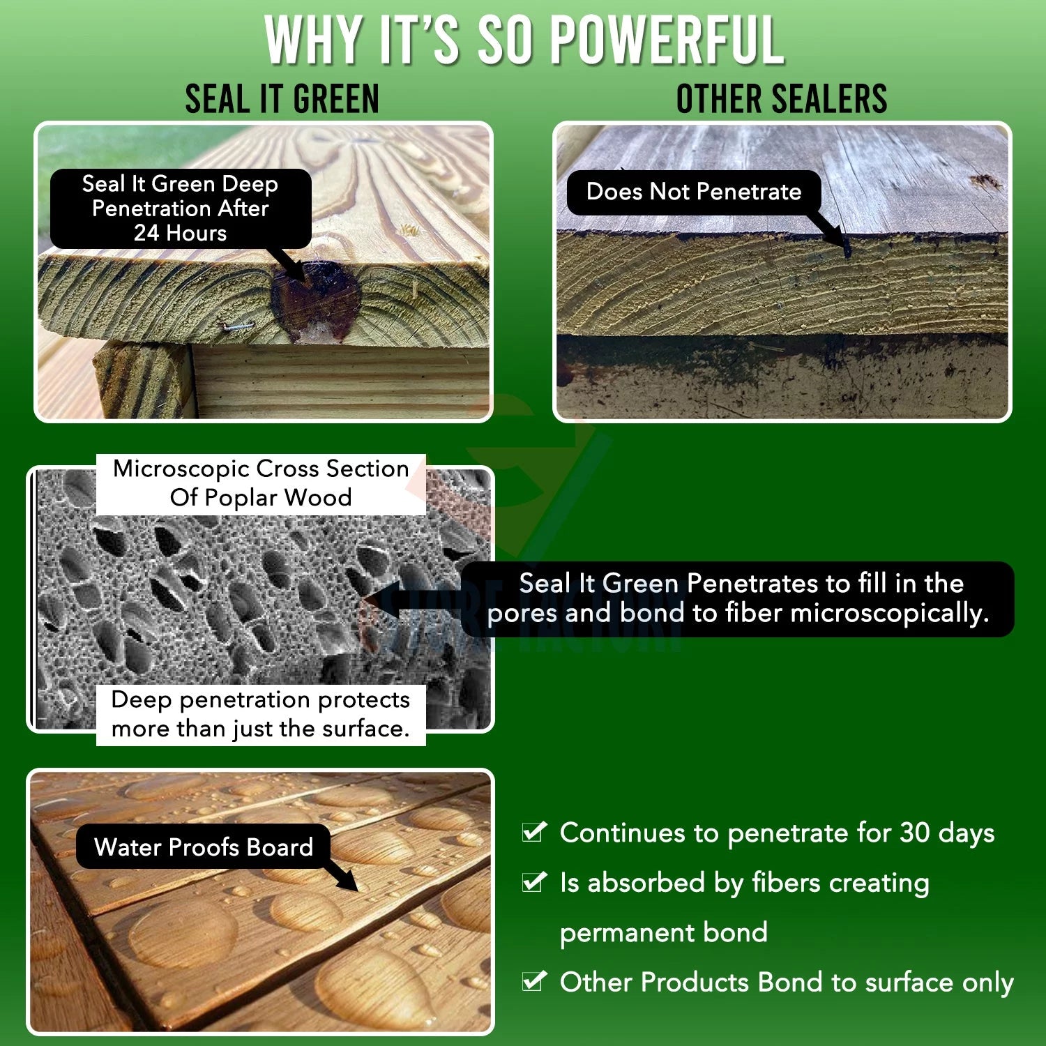 Seal It Green Garden Box Sealer - Plant Based, Non-Toxic, FDA Food Contact Safe (1 Gallon Kit) F3911