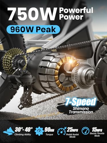 Electric Trike for Adult with 750W Motor, 48V Battery, 20" Fat Tire Y5910