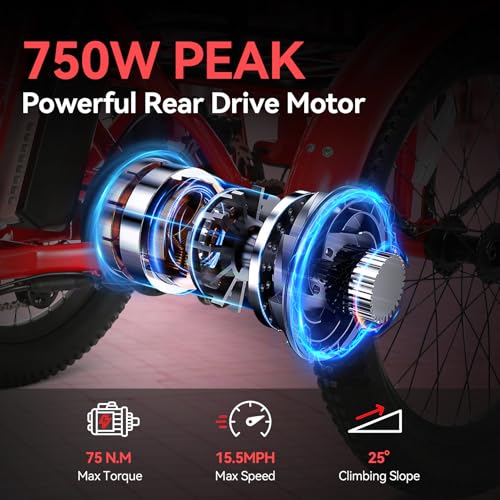 Vivi T01 20" x2.6 Fat Tire Electric Tricycle for Adults, 750W Peak, Folding 3-Wheel Bike D7496