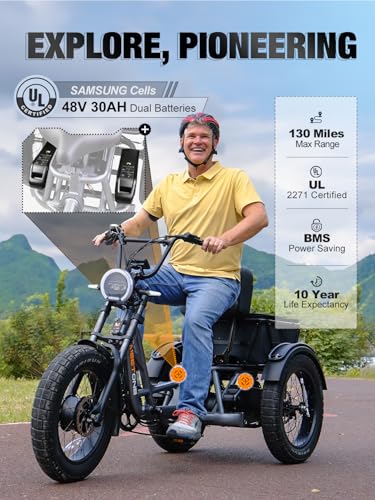 Folding Electric Tricycle for Adults, 1200W, 450lbs Load, UL Certified N810