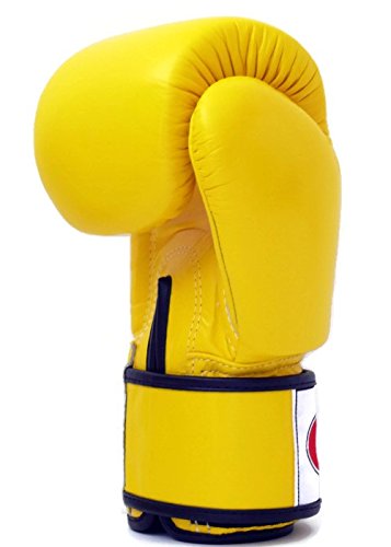 Fairtex BGV1 Muay Thai Boxing Training Sparring Gloves U66399