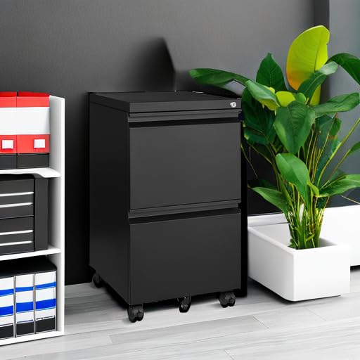 2 Drawer Vertical File Cabinet with Lock for Letter Size, Steel Office Storage Y50014