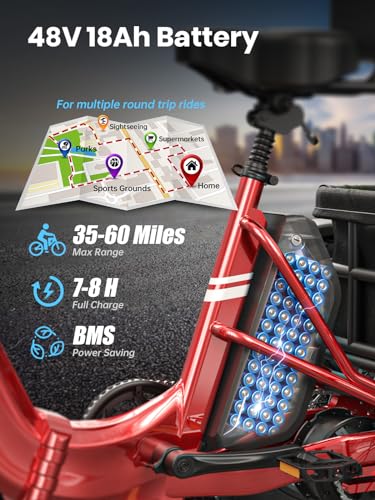 Electric Trike for Adult with 750W Motor, 48V Battery, 20" Fat Tire Y5910