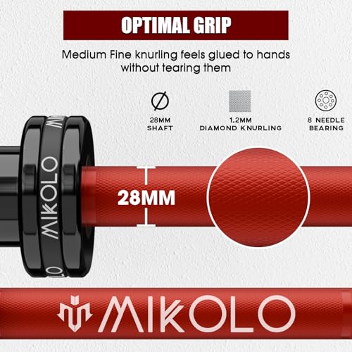 Mikolo 2" x 2" Folding Wall Mounted Squat Rack with Pull Up Bar, 1000 lbs Capacity W88407