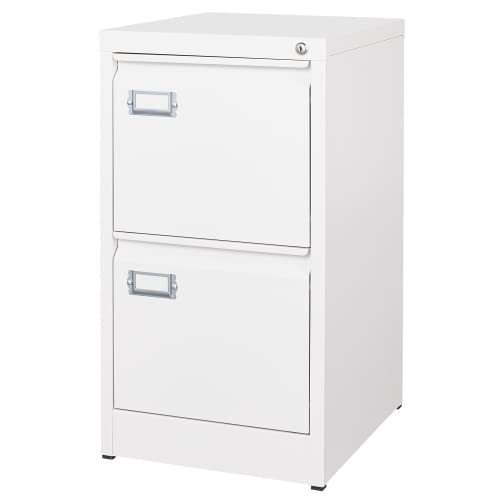 2 Drawer Vertical File Cabinet with Lock for Letter Size, Steel Office Storage Y50014