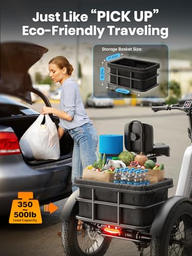 Electric Trike for Adult with 750W Motor, 48V Battery, 20" Fat Tire Y5910