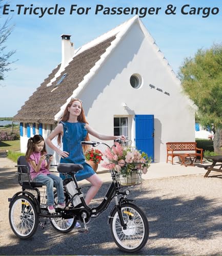 Electric Tricycle for Adults, 750W, Folding Fat Tire, 48V Removable Battery O76597