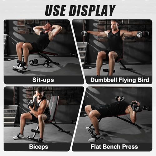 Adjustable Weight Bench for Home Gym, 800 LB Incline Decline Strength Training M735