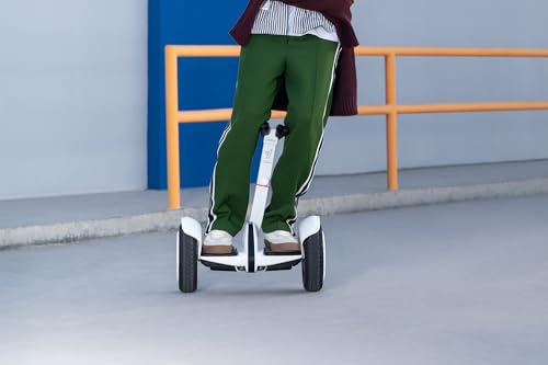 Segway Ninebot S2 Electric Self-balancing Scooter, Adjustable Height P833931