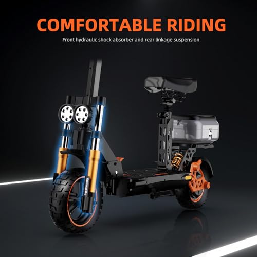 Ruitoo Electric Scooter 1000W Motor, Foldable Off Road E-Scooter for Adults I897875