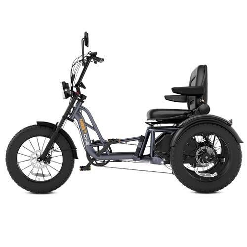 Folding Electric Tricycle for Adults, 1200W, 450lbs Load, UL Certified N810