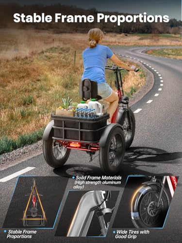 Electric Trike for Adult with 750W Motor, 48V Battery, 20" Fat Tire Y5910