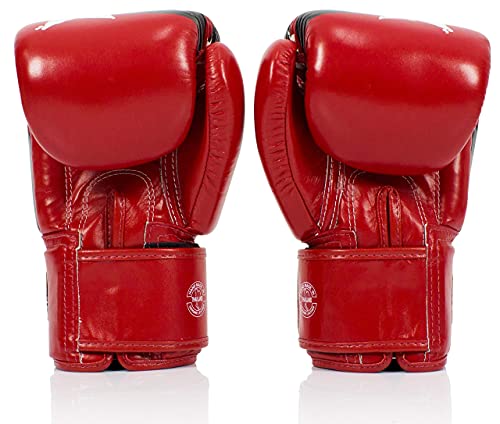 Fairtex BGV1 Muay Thai Boxing Training Sparring Gloves U66399