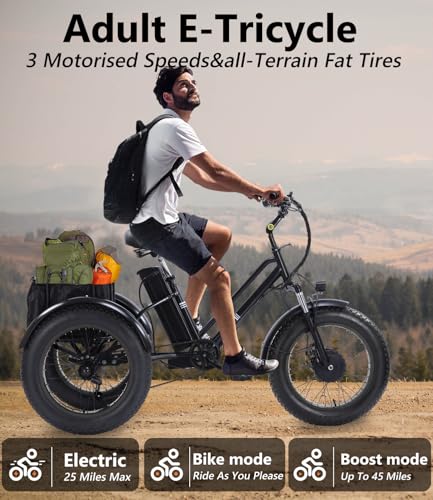 Adult Electric Tricycle 3 Wheel Bike for Adults A10327
