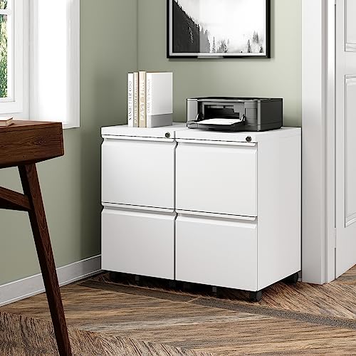 2 Drawer Vertical File Cabinet with Lock for Letter Size, Steel Office Storage Y50014