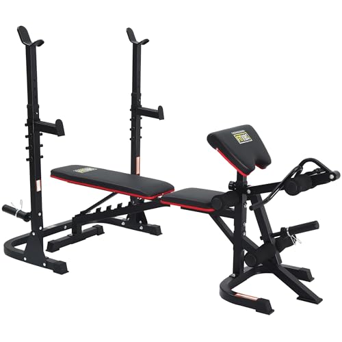 Adjustable Weight Bench with Leg Extension and Preacher Pad for Home Gym K47047