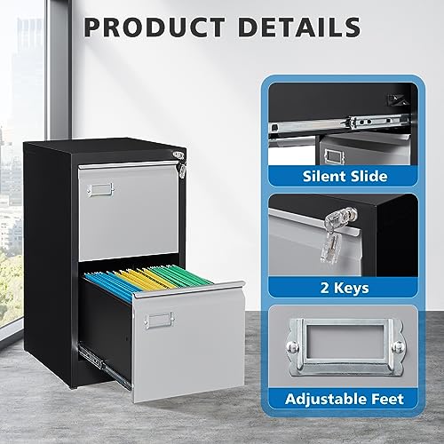 2 Drawer Vertical File Cabinet with Lock for Letter Size, Steel Office Storage Y50014