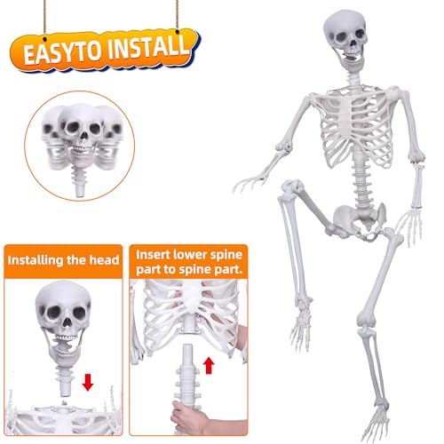 Halloween Life Size Posable Skeleton Full Body Plastic Decoration A932