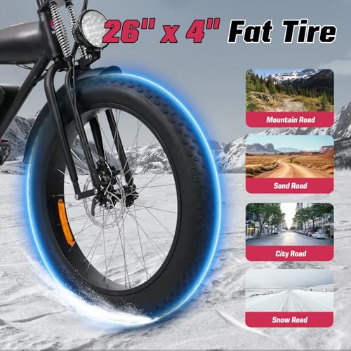 E2/K20 Electric Bike for Adults, 48V 13Ah/15Ah, 750/1000W Peak, 20"/26" Fat Tires Z839544