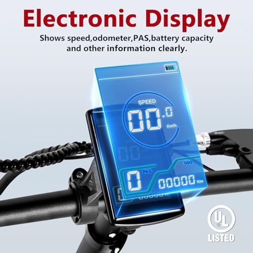 Folding Electric Bike for Adults with Removable Battery P213045