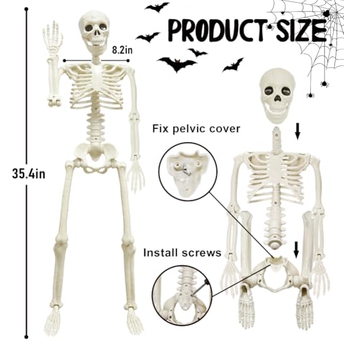 UMEELR 5.9FT Poseable Life Size Skeleton for Halloween Decoration B873000
