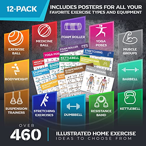 Laminated Large Workout Poster Set for Home Gym Exercise Charts M2103