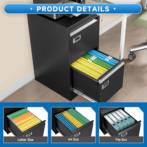 2 Drawer Vertical File Cabinet with Lock for Letter Size, Steel Office Storage Y50014
