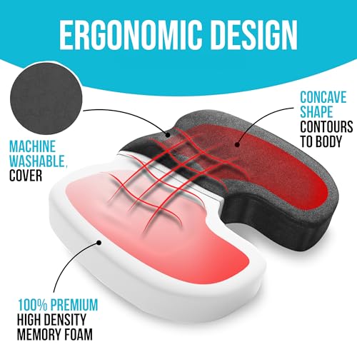 FORTEM Office Chair Cushion and Back Support, Memory Foam Lumbar Pillow, Non Slip, XL V440