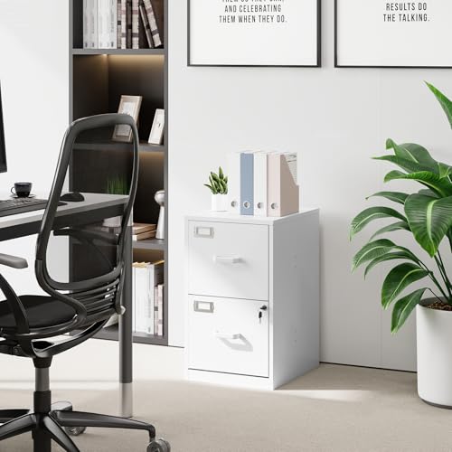 2 Drawer Vertical File Cabinet with Lock for Letter Size, Steel Office Storage Y50014
