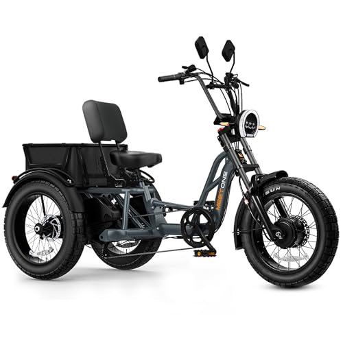 Folding Electric Tricycle for Adults, 1200W, 450lbs Load, UL Certified N810