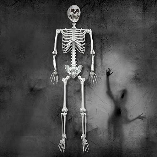 Wocst 5.4Ft Halloween Skeleton with Movable Joints Z6304