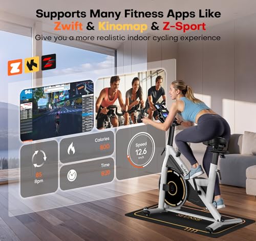 Adjustable Magnetic Exercise Bike for Home with App Compatible H403081