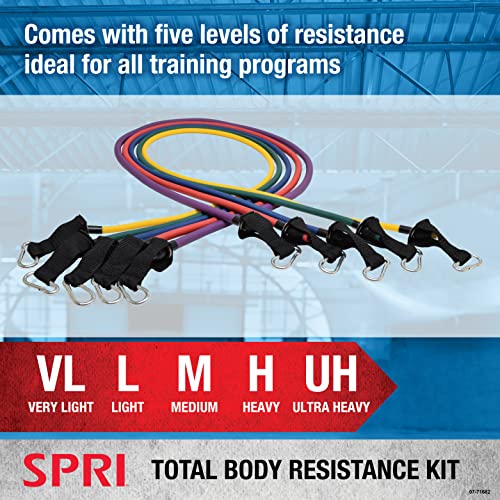 SPRI Resistance Band Kit with Interchangeable Tubes, Padded Handles, Door Anchor and Carry Bag G6755