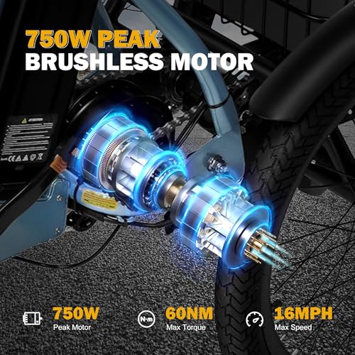 Triker Electric Bike Folding Trike Ebike, 750W Motor, 468Wh Battery, Step-Thru 3 Wheel Tricycle for Adults X7056