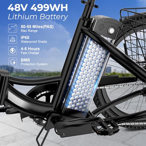 ANCHEER Electric Tricycle for Adults, 350W Folding 3-Wheel Ebike, 48V 499Wh S15636