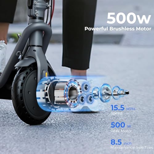 Jasion JS2/PRO Electric Scooter, 25 Miles Range, 22MPH Max Speed, 850W Peak Adult Escooter P831