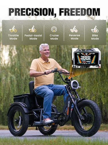 Folding Electric Tricycle for Adults, 1200W, 450lbs Load, UL Certified N810