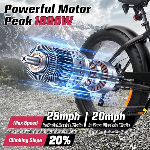 E2/K20 Electric Bike for Adults, 48V 13Ah/15Ah, 750/1000W Peak, 20"/26" Fat Tires Z839544