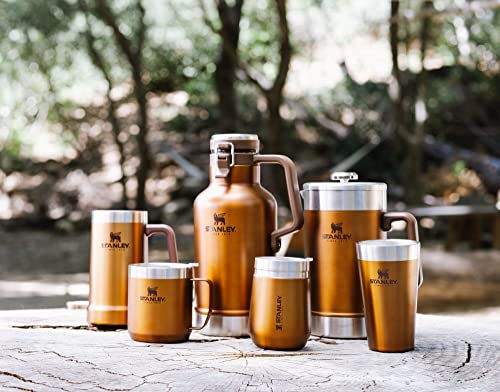 Stanley Stay-Chill Beer Stein 24 oz Insulated Stainless Steel Tumbler U450