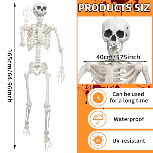Halloween Skeleton Decoration 5.4ft Realistic Plastic with Movable Joints Gray U13918