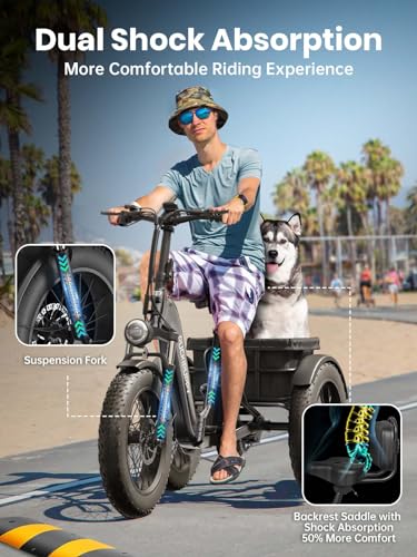 Electric Trike for Adult with 750W Motor, 48V Battery, 20" Fat Tire Y5910