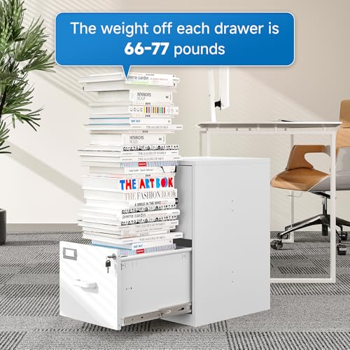 2 Drawer Vertical File Cabinet with Lock for Letter Size, Steel Office Storage Y50014
