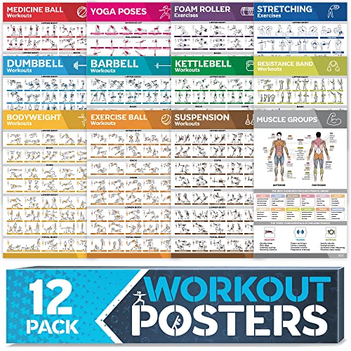 Laminated Large Workout Poster Set for Home Gym Exercise Charts M2103