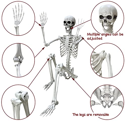 Wocst 5.4Ft Halloween Skeleton with Movable Joints Z6304