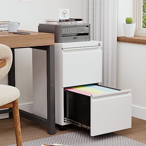 2 Drawer Vertical File Cabinet with Lock for Letter Size, Steel Office Storage Y50014