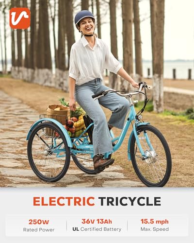 Viribus Electric Tricycle for Adults, 24 Inch 250W with Removable Battery I492